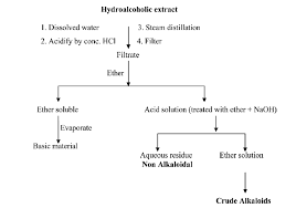 ( iii ) extraction of alkaloidal base with organic solvent. Scheme 1 Separation Of Alkaloid And Non Alkaloid Extracts Of C Download Scientific Diagram