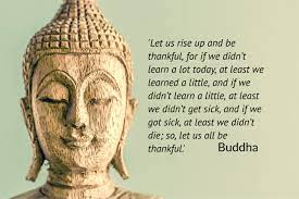Gautama buddha, 'the enlightened one' and the founder of buddhism is one of the greatest and most influential figures to ever have lived on this planet. Gratitude Buddha Quote Ss 110620 Reiki Jane