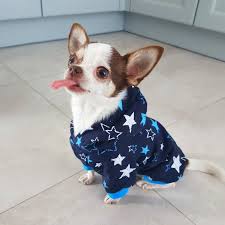 When Your Dog Is Real Super Star Semba Design Hoodies For Real Dog Stars Cute Dog Clothes Dog Clothes Boy Dog Clothes
