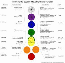 the chakra system springwolf reflections