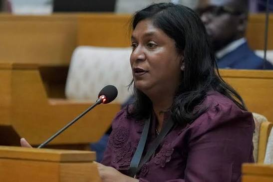 IDAC head Johnson 'rushed to hospital', but Madlanga slams 'useless' medical certificate | News24