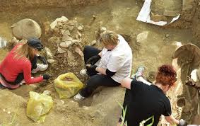 Index fossils that can all fossils can be used to how old it might be possible to decay below the use to date fossils. How Do Scientists Determine The Ages Of Human Ancestors Fossilized Dinosaurs And Other Organisms Scientific American