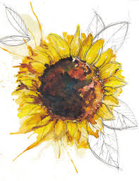 365 Days Of Art Week 15 Watercolor Art Watercolor Sunflower Flower Drawing