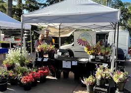 Check spelling or type a new query. Marni Jameson Readers Reply To Floral Series