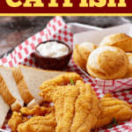 We did not find results for: 15 Best Side Dishes For Catfish Insanely Good