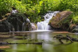 Bagaimana cara menggambar pemandangan alam, pantai, air terjun dan lainnya? Air Terjun Alam Pemandangan Foto Gratis Di Pixabay