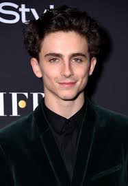 Timothee Chalamet S Haircut Inspired So Many Tweets