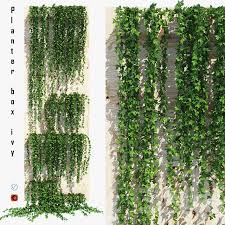 3d Planter Box Ivy Model 351 Free Download Planter Boxes Hanging Planter Boxes Planters