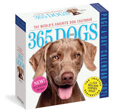 Find & download free graphic resources for calendar 2021. Amazon Com 365 Dogs Page A Day Calendar 2021 9781523509003 Workman Calendars Books