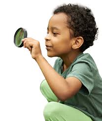 An Update from President and CEO Kurt Strand