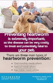 We are driven desire and commitment to offering the absolute best and most compassionate care to the pets of san gabriel valley community and beyond. We Are Offering A Certificate For A 50 Rebate When You Purchase A 12 Month Supply Of Sentinel Spectru Animal Hospital Veterinary Services Heartworm Prevention