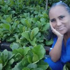 Página de Elvira Mora