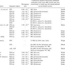 Image result for Cystostemon hispidissimus