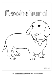 Download and print these printable of dachsunds coloring pages for free. Dachshund Coloring Pages Free Animals Coloring Pages Kidadl