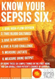 Sepsis is a medical emergency. Proposta Di Un Protocollo Regionale Sulla Sepsi Cosa Fare Nella Prima Ora Itjem