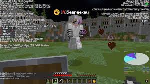 Only skilled pvpers are guaranteed to survive. Played Against Seapeekay On A 1 16 Pvp Server R Minecraftchampionship