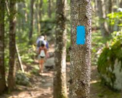 Markers should be evenly spaced, from 20 feet apart in dense vegetation to 100 feet apart in open terrain. Online Trail School With Imba Trail Solutions Outdoor Sport Institute