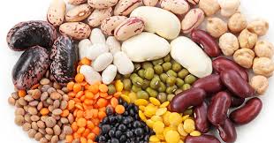 Resultado de imagem para LEGUMINOSAS