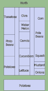 How to lay out garden rows. Garden Layout Gardening For Beginners Forum At Permies
