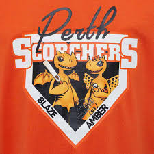 The japanese saturn version of the game is the rarest release on the platform. Perth Scorchers 2019 20 Kids Mascot Tee Orange 14 Rebel Sport