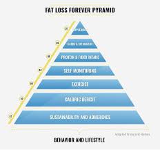 Layne Norton Trying To Lose Fat Can Be Confusing Facebook