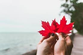 Meet singles in toronto tonight! Speed Dating Matchmaking In Toronto Speedtoronto Dating