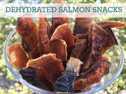 salmon snack dehydrator dog treats