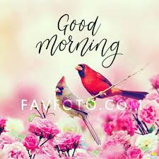 Maybe you would like to learn more about one of these? Favfoto Good Morning May Your Day Be Filled With Facebook
