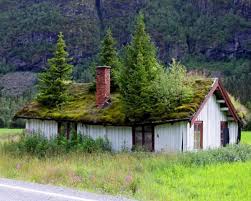 Green roofs help to cool urban environments, improve air quality, and provide biodiverse habitats for wildlife. Beautiful Norwegian Homes Topped With Lush Green Roofs