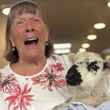 There's something truly magical about animal visits