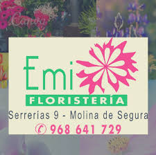 Floristería Emi Molina de Segura