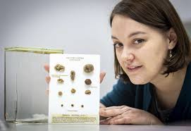 Darwin's forgotten fungus found at Cambridge University Herbarium