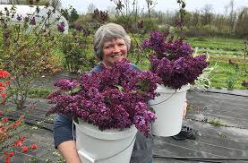 Free flower delivery by top ranked local florist in hopkinsville, ky! Bouquets Of Hope Flowers Brighten Lives During Dark Days Of Covid 19 Living Kentucky New Era