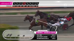 Bis 31 mai startet wettstar eine verlosung exklusiver fanartikel aus schweden.über keine zuschauer, aber dafür tolle pferde: Elitloppet 2017 Bold Eagle 1 08 3 Youtube