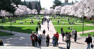 دليلك الشامل حول الدراسة في ماليزيا سوبرنوفا Supernova