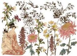 Iod Decor Transfer Japonica 24 X 33 By Iron Orchid Designs Iron Orchid Designs Japonica Rub On Transfers