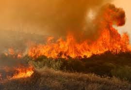 Φωτια ευβοια για τρίτη μέρα οι πυροσβέστες δίνουν μάχη με τη μεγάλη πυρκαγιά στην κεντρική εύβοια. Fwtia Sthn Eyboia Kaiei Konta Sto Mantoydi Insider