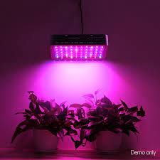 300w Led Grow Light Full Spectrum Led Grow Lights Grow Lights Led Grow