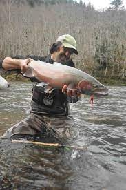 Chop your fish fillets into eight even sized pieces. Hickman S Fish Taco February 18 2011 Fishing And Life With Jay