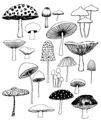 Mushrooms Limited Edition Giclee Print Etsy Doodle Art Stuffed Mushrooms Doodles