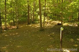 A car top boat/fishing access trail to the schoharie creek was established in 2011. Max V Shaul State Park Campsite Photos Site 19
