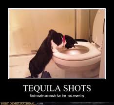 Very Demotivational Demotivational Posters Very Demotivational Funny Pictures Funny Posters Funny Meme