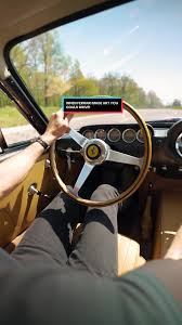 Image result for Autumn Haze 1960 Chrysler