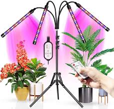 Many home owners and apartment dwellers may not have a sunny place available to grow microgreens. Upgraded Wolezek 4 Head Led Grow Light With Tripod Stand For Indoor Plants 80 Led Full Spectrum Floor Grow Lamp With Dual Controllers 4 8 12h Timer Tripod Adjustable 11 63 Inch Amazon Ca Patio Lawn