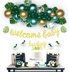 We did not find results for: Amazon Com Homond Dinosaur Baby Shower Decorations For Boy Dinosaur Balloons Garland Kit For Baby Shower Dinosaur Party Supplies Welcome Baby Banner Hatching Soon Cake Topper Home Kitchen