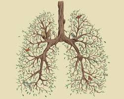 100 Breaths Meditation Lungs Art Art Medical Art