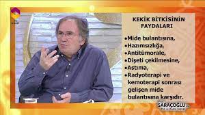 Sevilen Hikayeler Inanilmaz Dis Eti Cekilmesini Bu Sekilde Kolayca Durdurun Mens Tops Body Men
