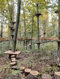 Diy Low Ropes Courses Google Search Kinderfreundlicher Garten Naturspielplatz Spielplatz