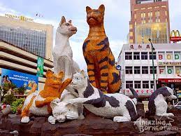 The city is known for its diverse and rich cultural and ethnic background and you will fall in love with some of malaysia's most delicious dishes. Amazing Borneo Tours Kuching City Tour Amazing Borneo Tours
