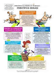 principios do direito do trabalho direito do trabalho direito estudante de direito